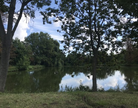 Odtok z čistírny - rybník