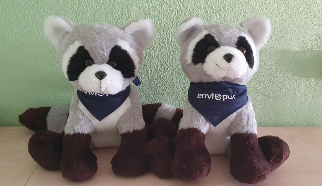 mýval_envík.jpeg